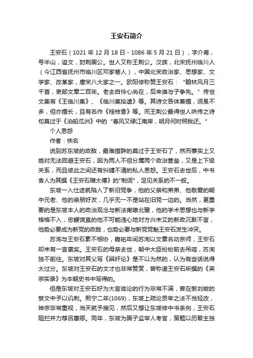 王安石简介