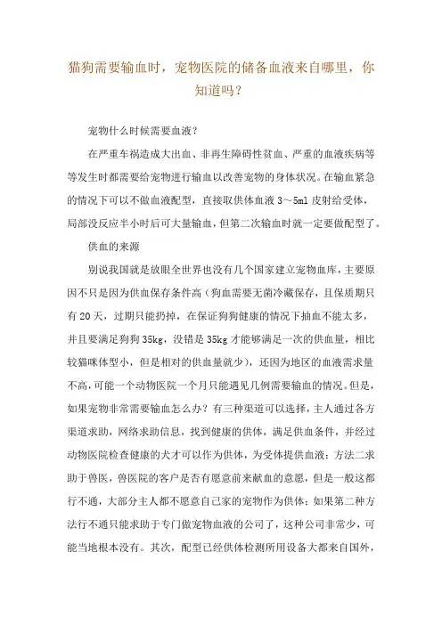 猫狗需要输血时,宠物医院的储备血液来自哪里,你知道吗？