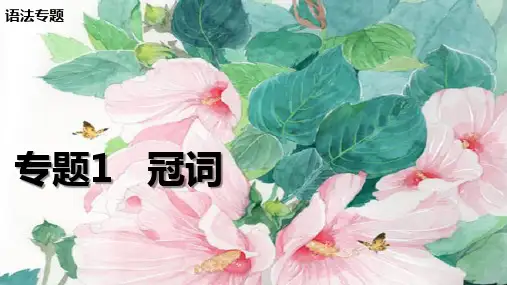 高三冠词 语法专题总复习课件