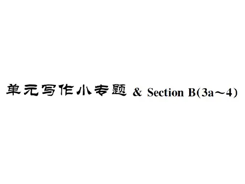 Unit 9单元写作小专题