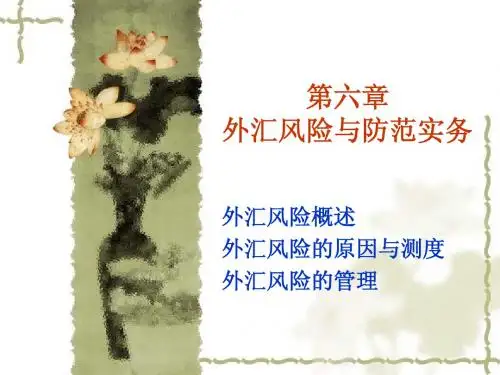 6外汇风险与防范实务