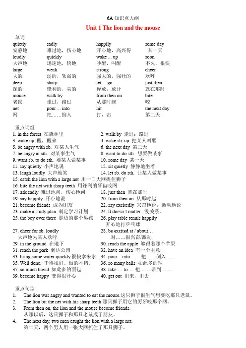 牛津译林版英语六年级下册全册复习资料