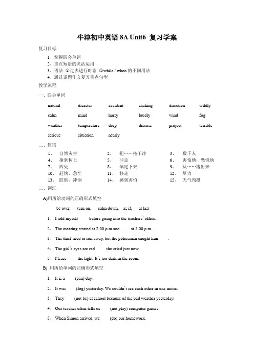 【51】牛津英语8A_Unit6复习学案