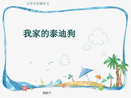 小学五年级作文《我家的泰迪狗》500字(共9页PPT)