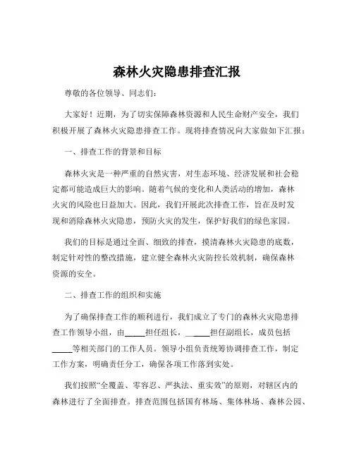 森林火灾隐患排查汇报