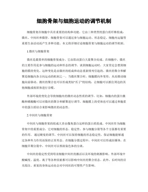 细胞骨架与细胞运动的调节机制