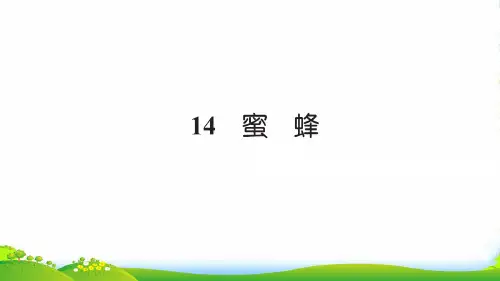 2022三年级语文上册第四组14蜜蜂习题课件2