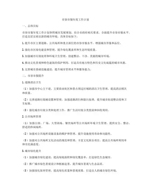市容市貌年度工作计划
