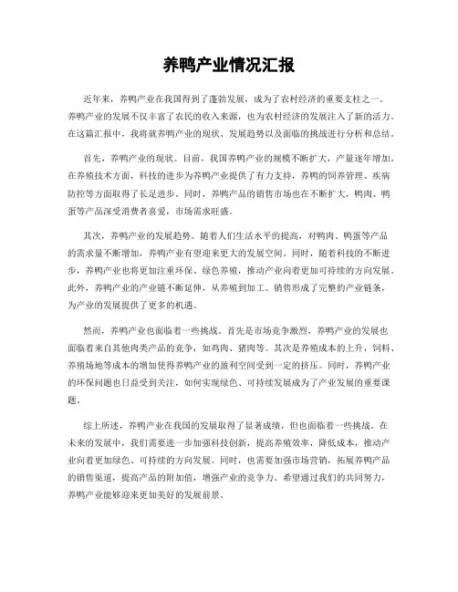 养鸭产业情况汇报