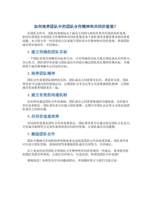如何培养团队中的团队合作精神和共同价值观？