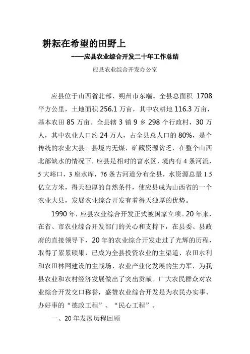 二十年工作总结