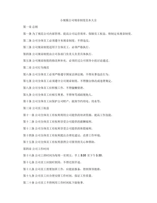 小规模公司规章制度范本大全