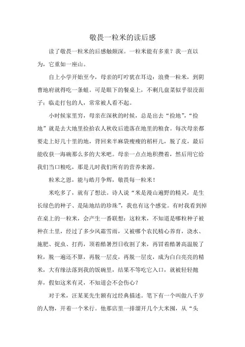 敬畏一粒米的读后感