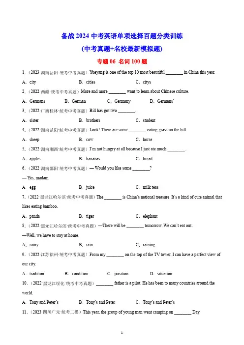 中考英语专题06 名词100题 【含答案解析】