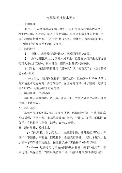 水稻旱条播技术要点
