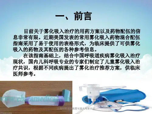 儿童呼吸道疾病雾化吸入专家共识培训课件