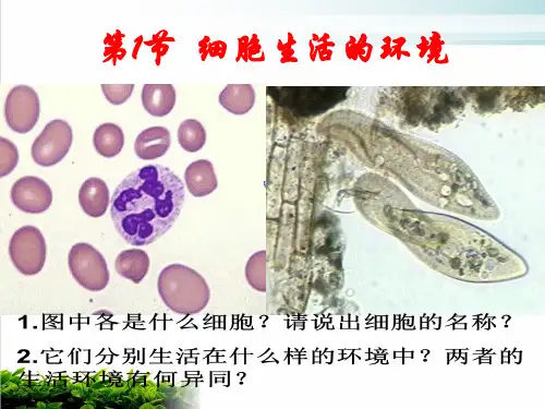 细胞生活的环境课件人教版高中生物必修PPT完整版
