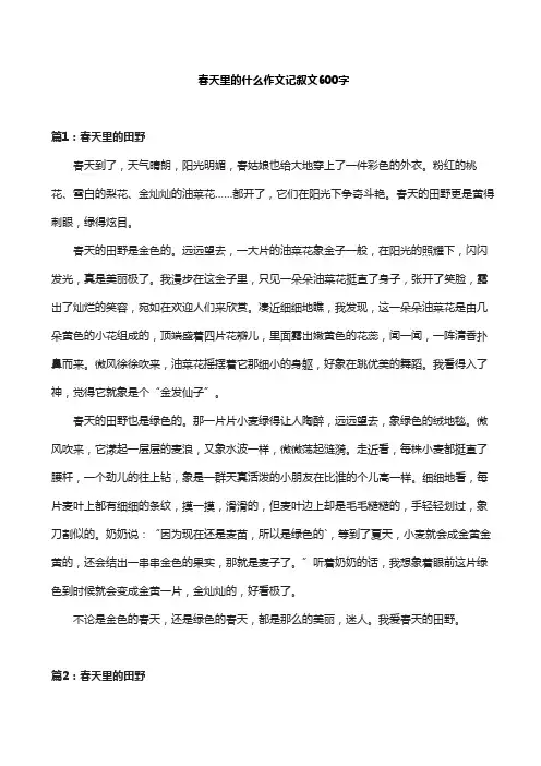 春天里的什么作文记叙文600字