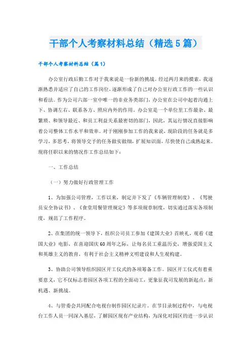 干部个人考察材料总结(精选5篇)