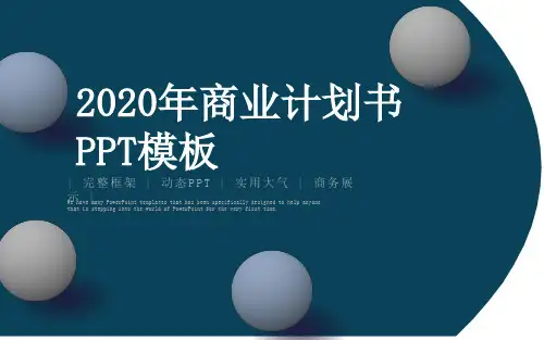 2020年商业计划书PPT模板
