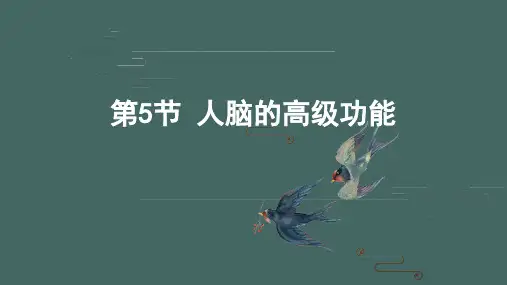 人脑的高级功能高二生物优质课件(人教版2019选择性必修1)
