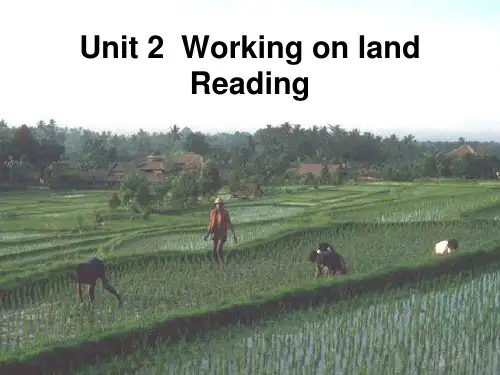 人教新课标高中英语必修四-Unit2  working the land reading 课件 (共21张PPT)