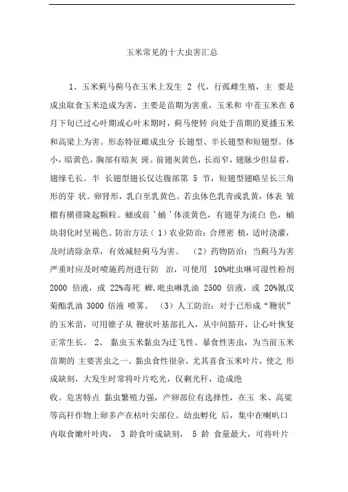 玉米常见的十大虫害汇总