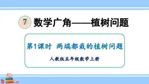 人教版小学数学五年级上册第七单元《数学广角——植树问题》教学课件