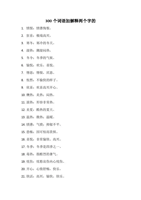 300个词语加解释两个字的