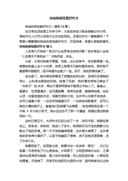 自由的感觉真好作文（通用58篇）