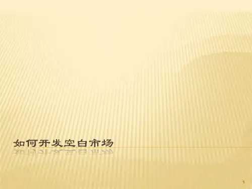 如何开发空白市场ppt课件