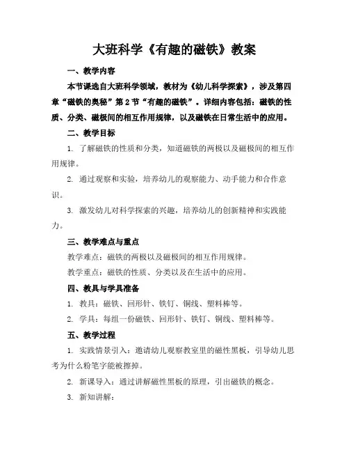 大班科学《有趣的磁铁》教案