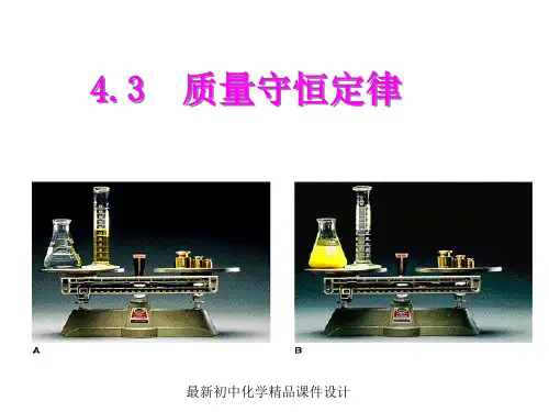 最新粤教版初中化学九年级上册《4.3 质量守恒定律》PPT课件 (7)