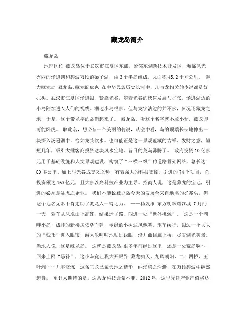 藏龙岛简介