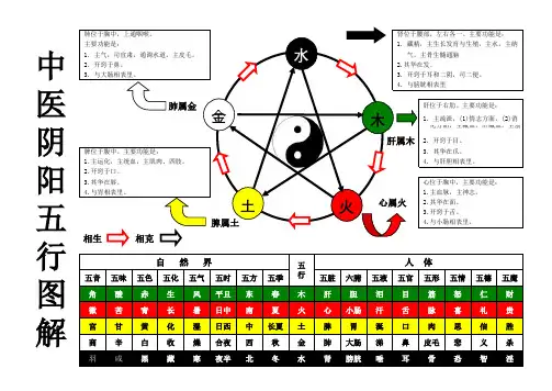 中医阴阳五行图解