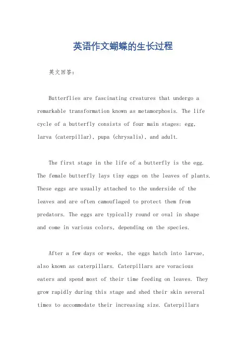 英语作文蝴蝶的生长过程