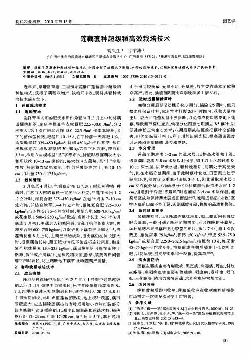 莲藕套种超级稻高效栽培技术