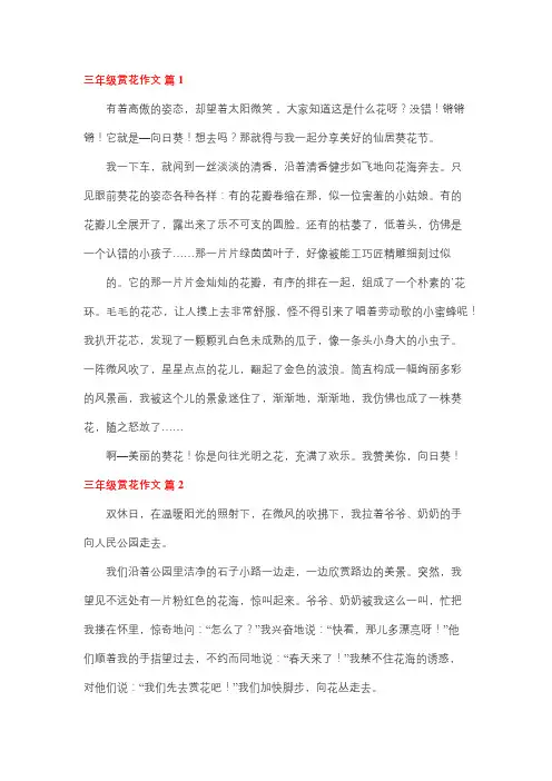三年级观察花的作文