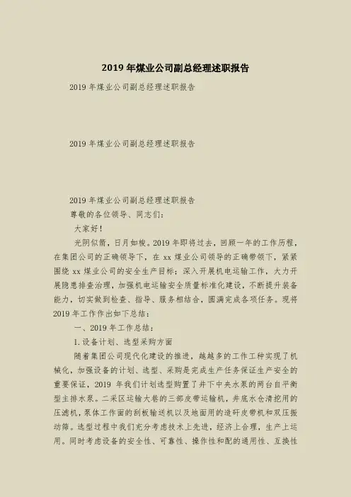 2019年煤业公司副总经理述职报告