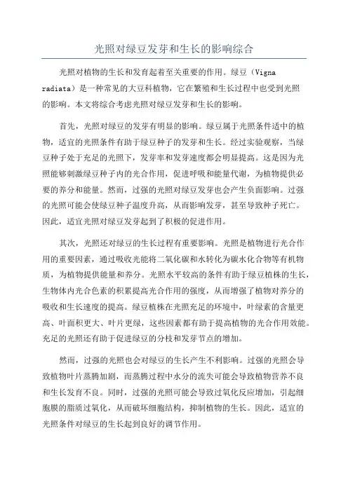 光照对绿豆发芽和生长的影响综合