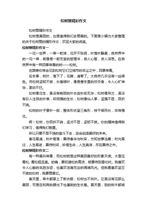 松树赞精彩作文
