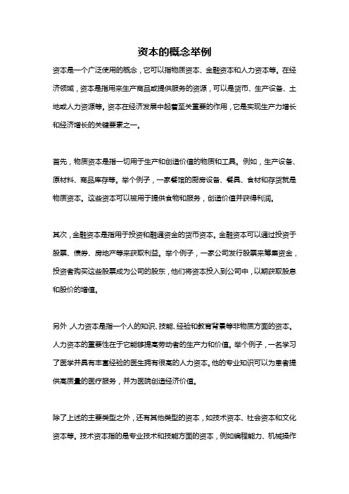 资本的概念举例