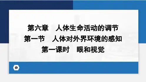 人体对外界环境的感知(第一课时)课件(共22张PPT)人教版生物七年级下册