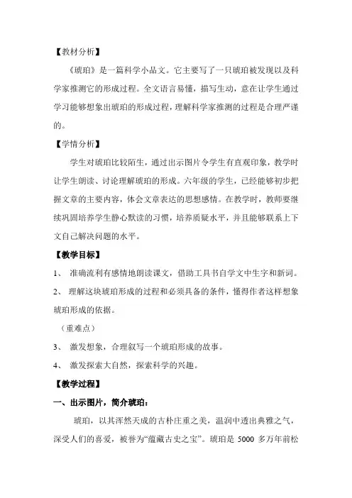 人教版六年级语文下《综合复习 6 琥珀》公开课课件_0