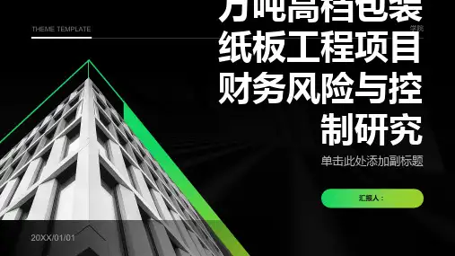 山东博汇纸业万吨高档包装纸板工程项目财务风险与控制研究