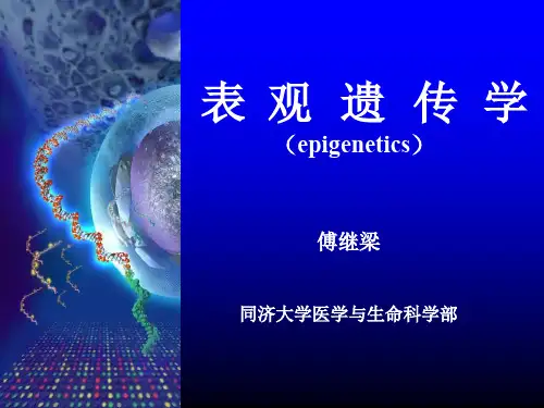 表观遗传学.ppt
