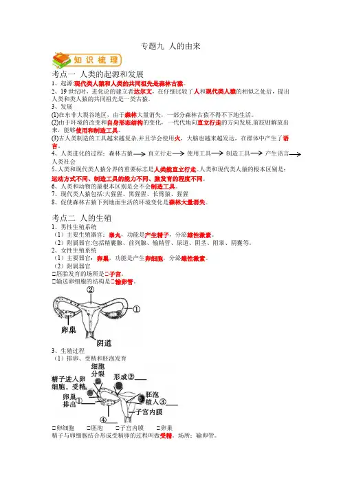 专题09 人的由来-2022年中考生物一轮复习抓重点考典型(人教版)(解析版)