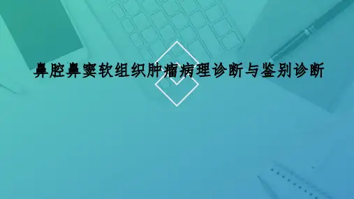 鼻腔鼻窦软组织肿瘤病理诊断与鉴别诊断
