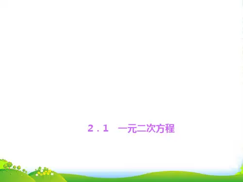 湘教九年级数学上册《一元二次方程》课件(共14张PPT)