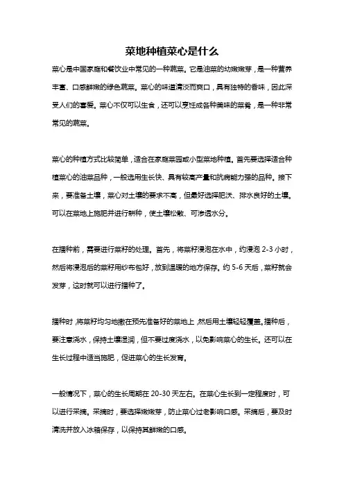 菜地种植菜心是什么